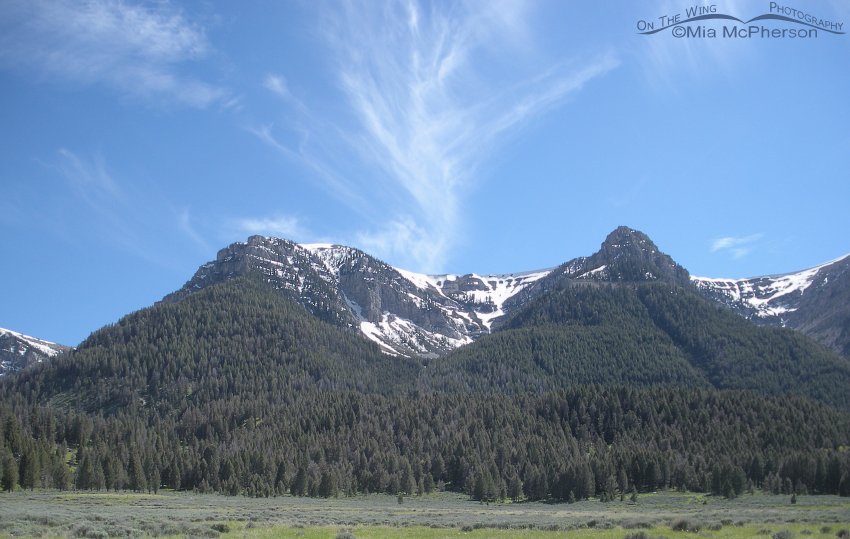View of Centennial Mountains from Upper Red Rock Lake
